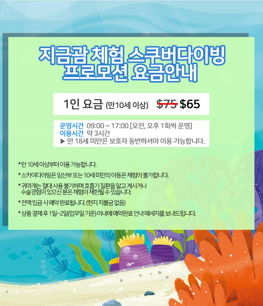체험 스쿠버 다이빙 상세 이미지 2