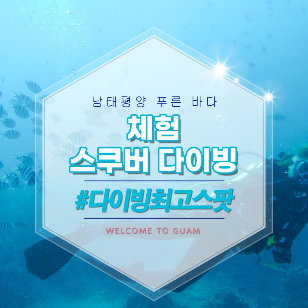 체험 스쿠버 다이빙
